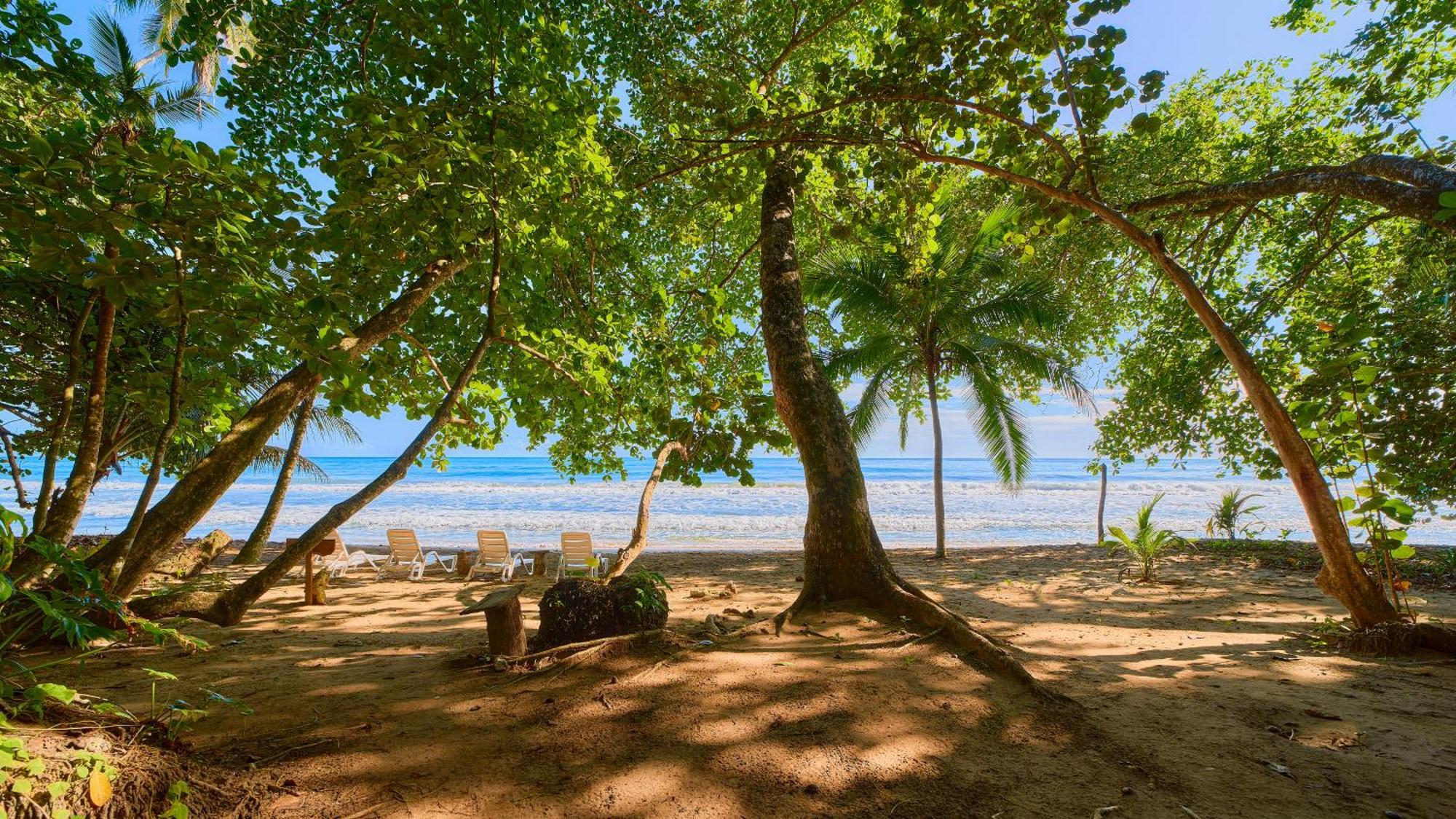 Dragonfly Beachfront Villas-Adult Only Punta Uva Extérieur photo