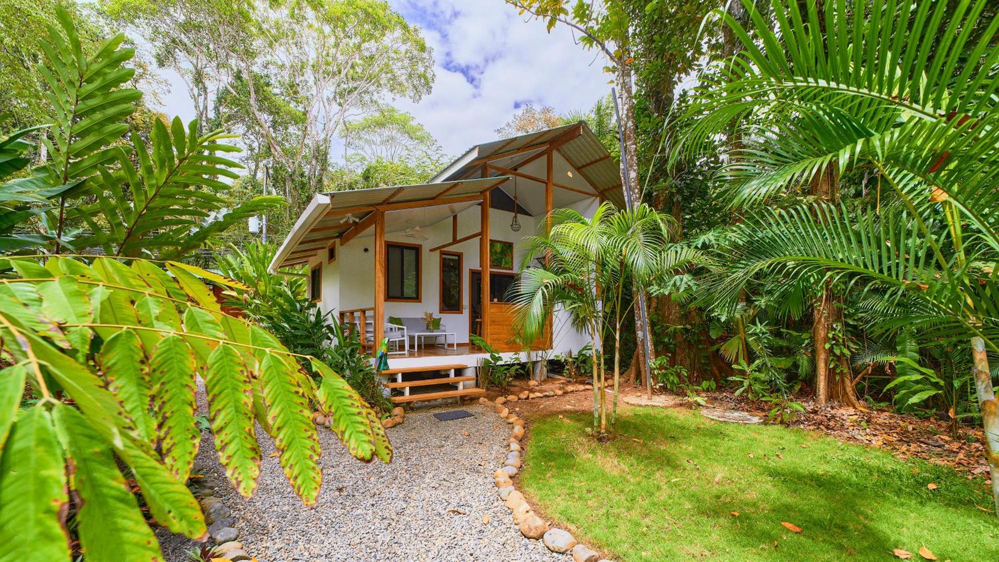 Dragonfly Beachfront Villas-Adult Only Punta Uva Extérieur photo