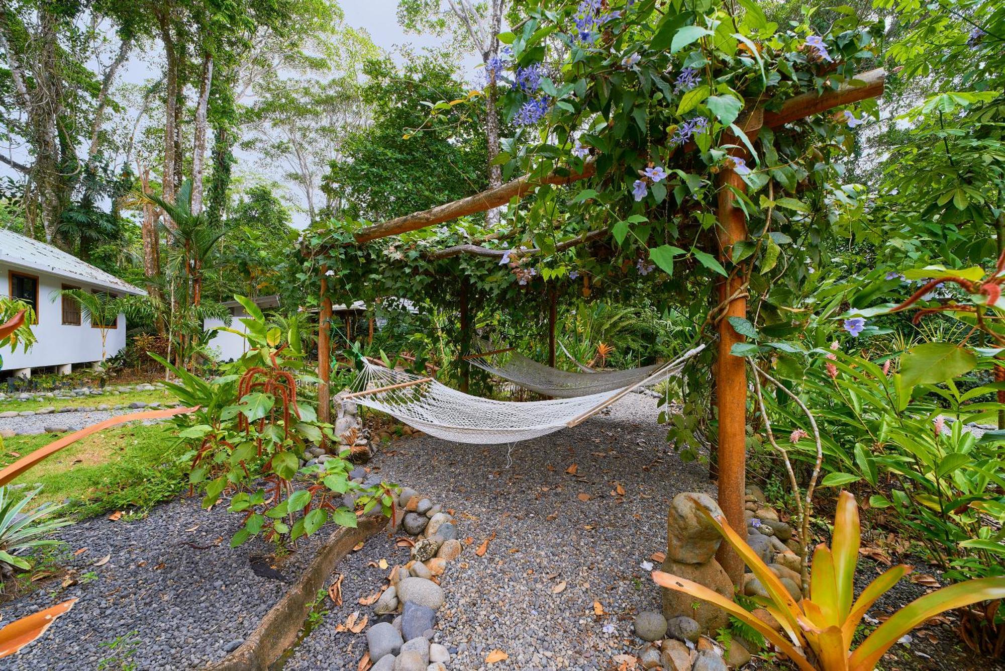 Dragonfly Beachfront Villas-Adult Only Punta Uva Extérieur photo