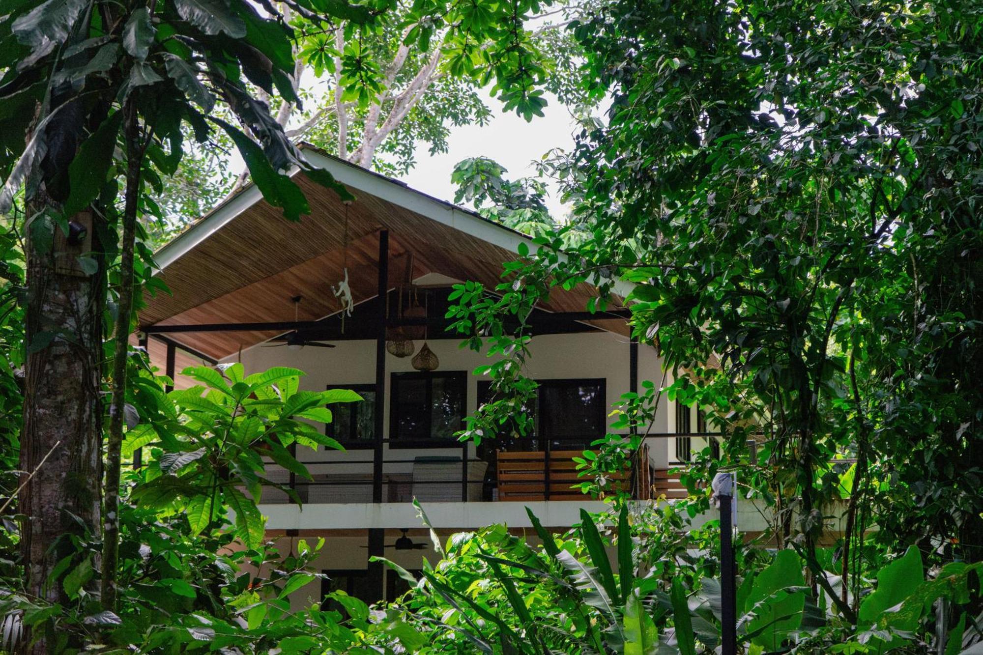 Dragonfly Beachfront Villas-Adult Only Punta Uva Extérieur photo